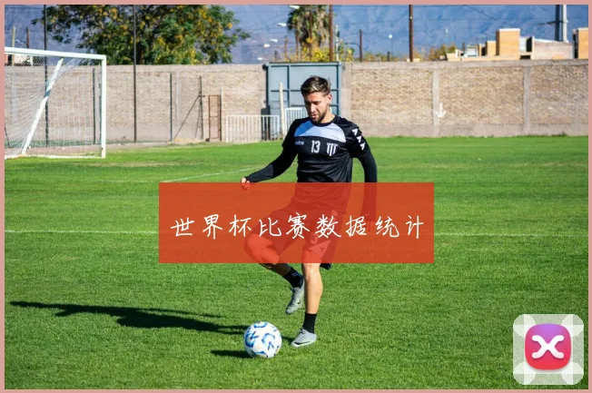 世界杯比赛数据统计